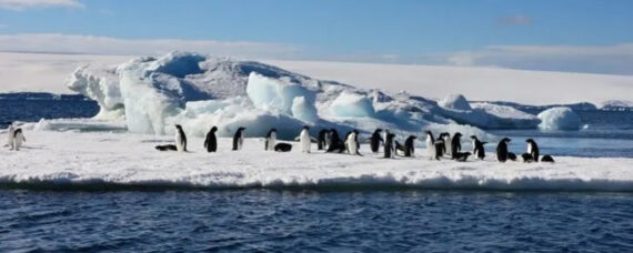 AGVO location image for Antarctica